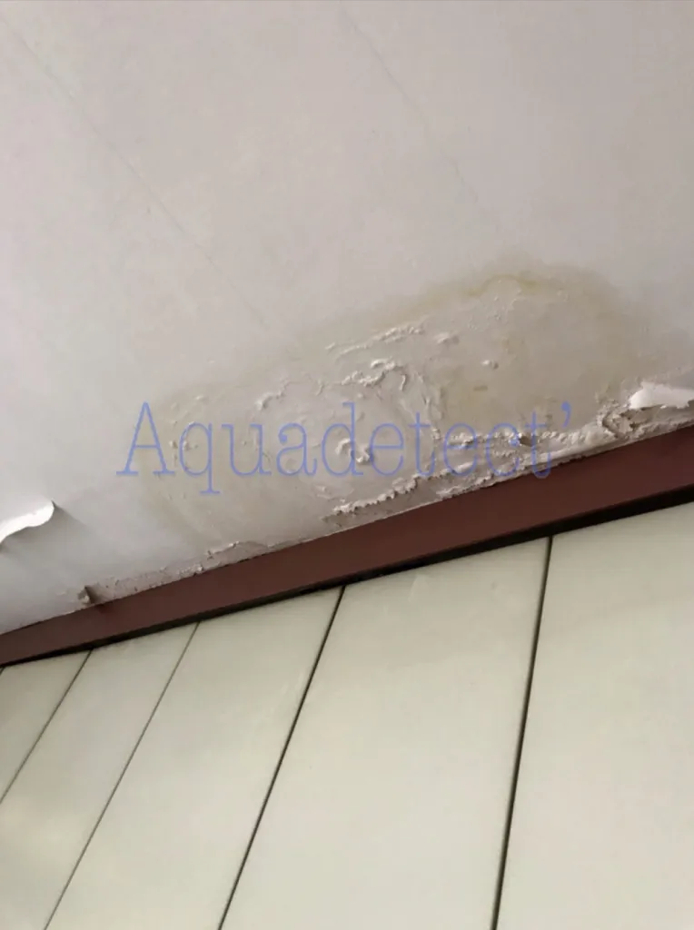 Recherche de fuite dans un local commercial à HYERES dans le Var