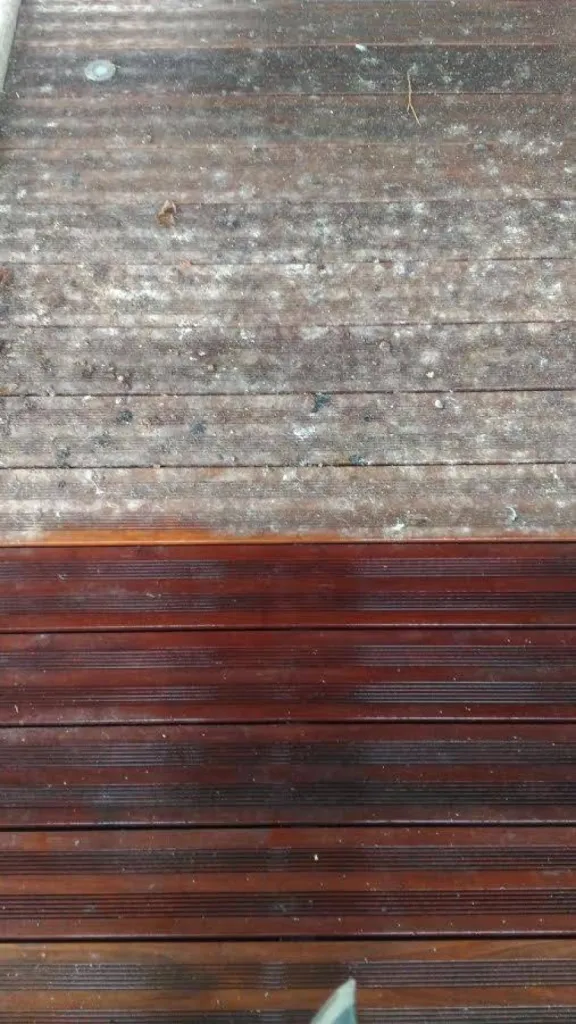 enlever les crottes de pigeons sur mon balcon à aix en provence
