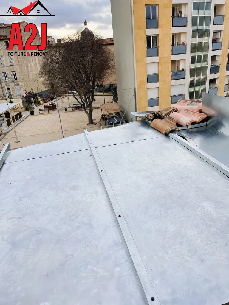 Changement d'un faîtage à plat en zinc sur lit neuf en OSB + renfort de fermette + façonnage sur mesure d'un solin en zinc et de remontées de Skydome