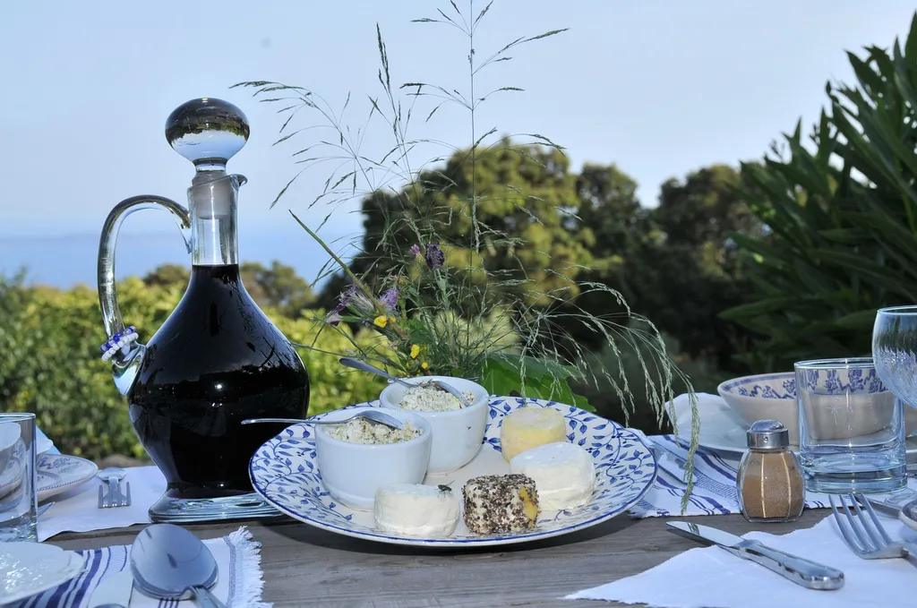 Le printemps à Bormes L'hôtel idéal pour vos vacances sur la Côte d'Azur