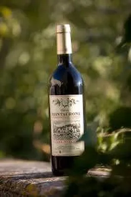 Vignoble Saint-Cannat Domaine de la Montauronne