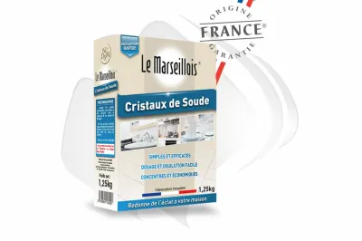Cristaux de soude CPI Hygiène