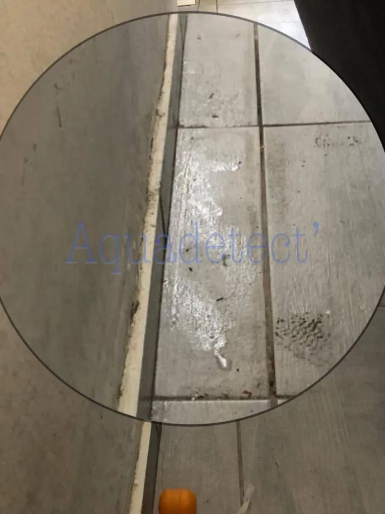 Problème d'humidité et du salpêtre et de condensation dans un appartement à TOULON