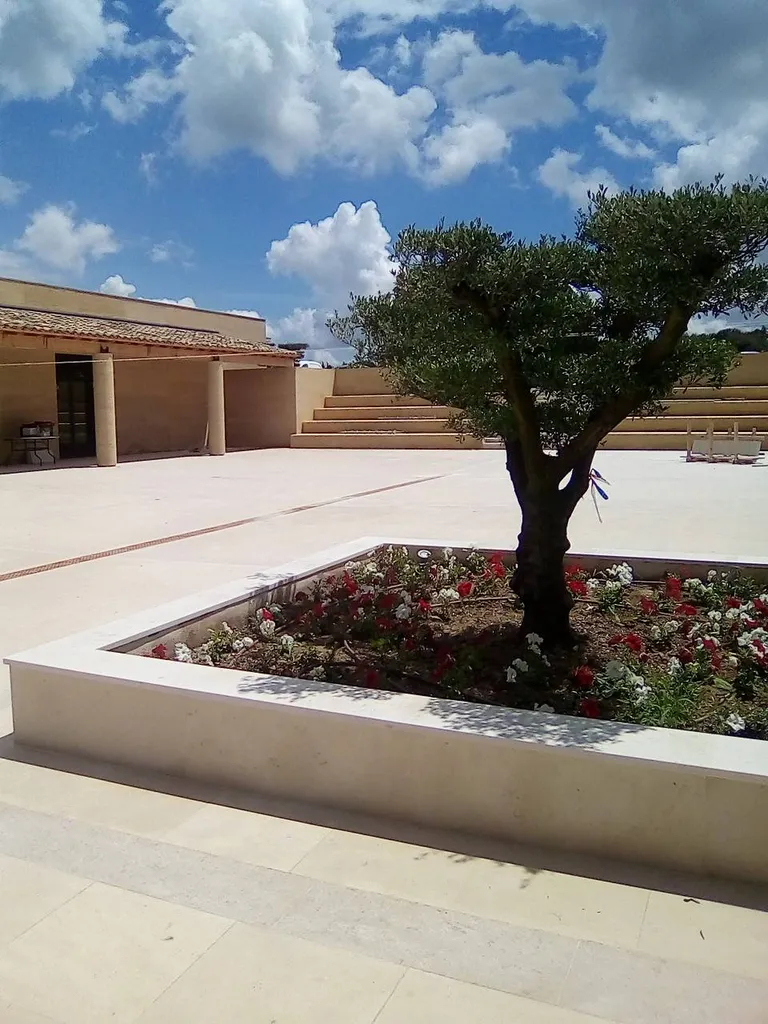 DALLAGES EXTERIEURS EN PIERRE NATURELLE MOLEANOS