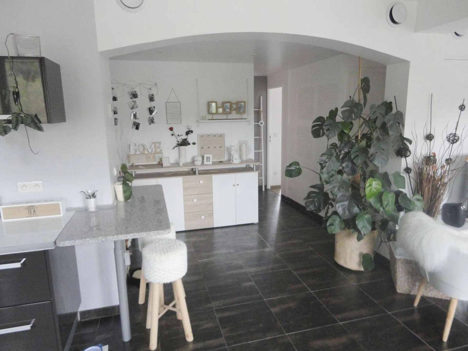 carnoux vente appartement