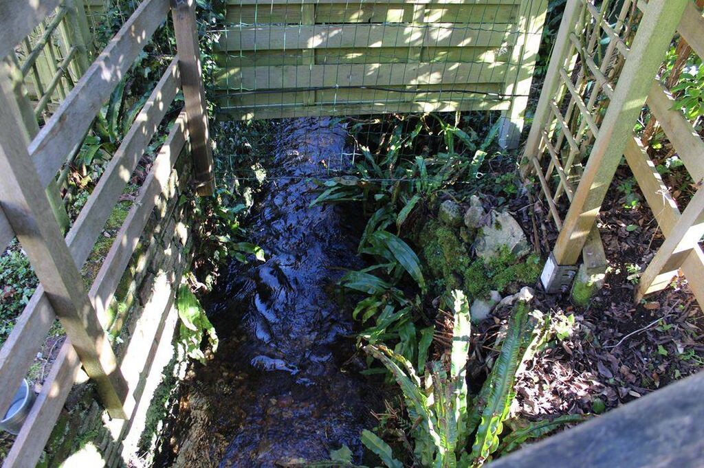 Petit cours d'eau dans le jardin de cette habitation en plein coeur du bourg