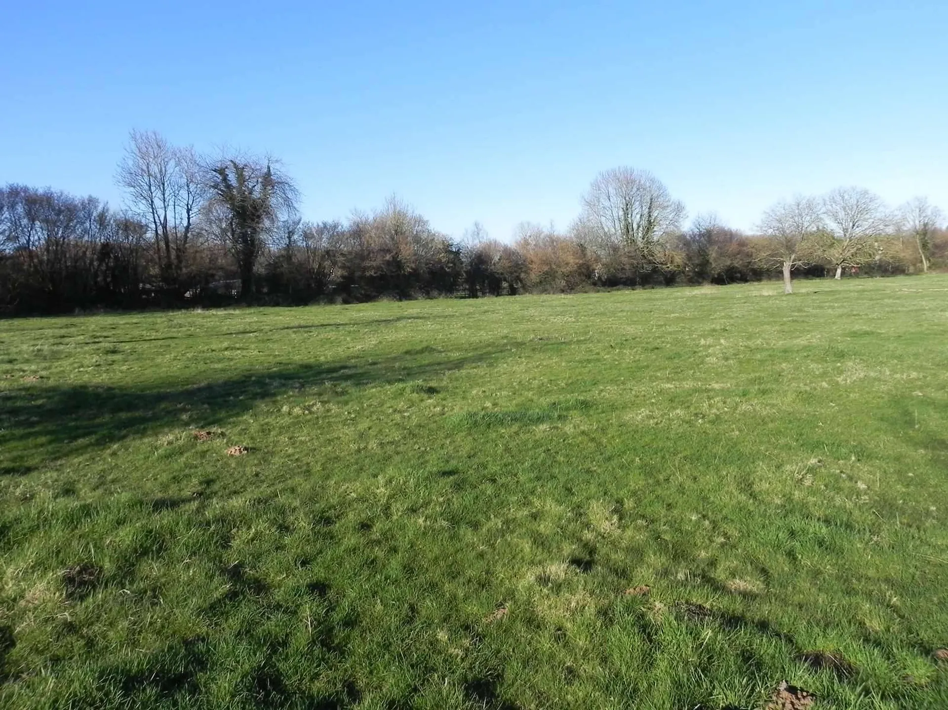 A vendre dans le PAYS D'AUGE (CALVADOS)  Secteur de MOYAUX (14590) Terrain agricole