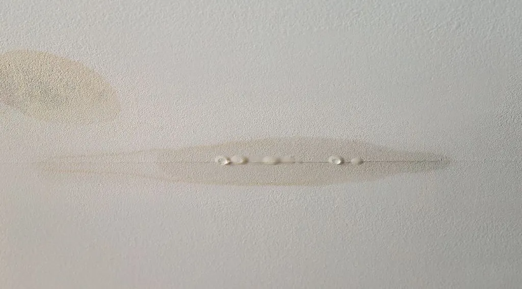 Plafond qui goutte