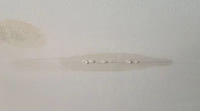 Plafond qui goutte