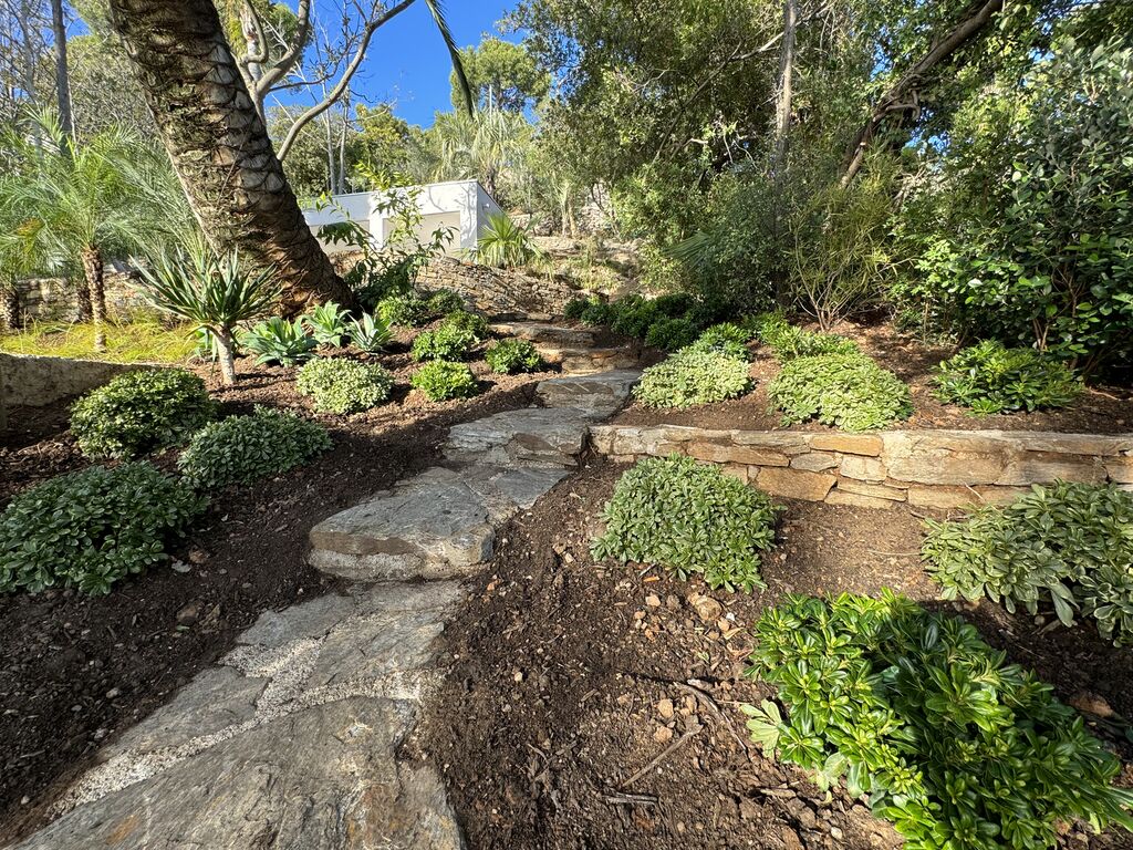 Création d’un jardin méditerranéen avec arrosage automatique à Carqueiranne