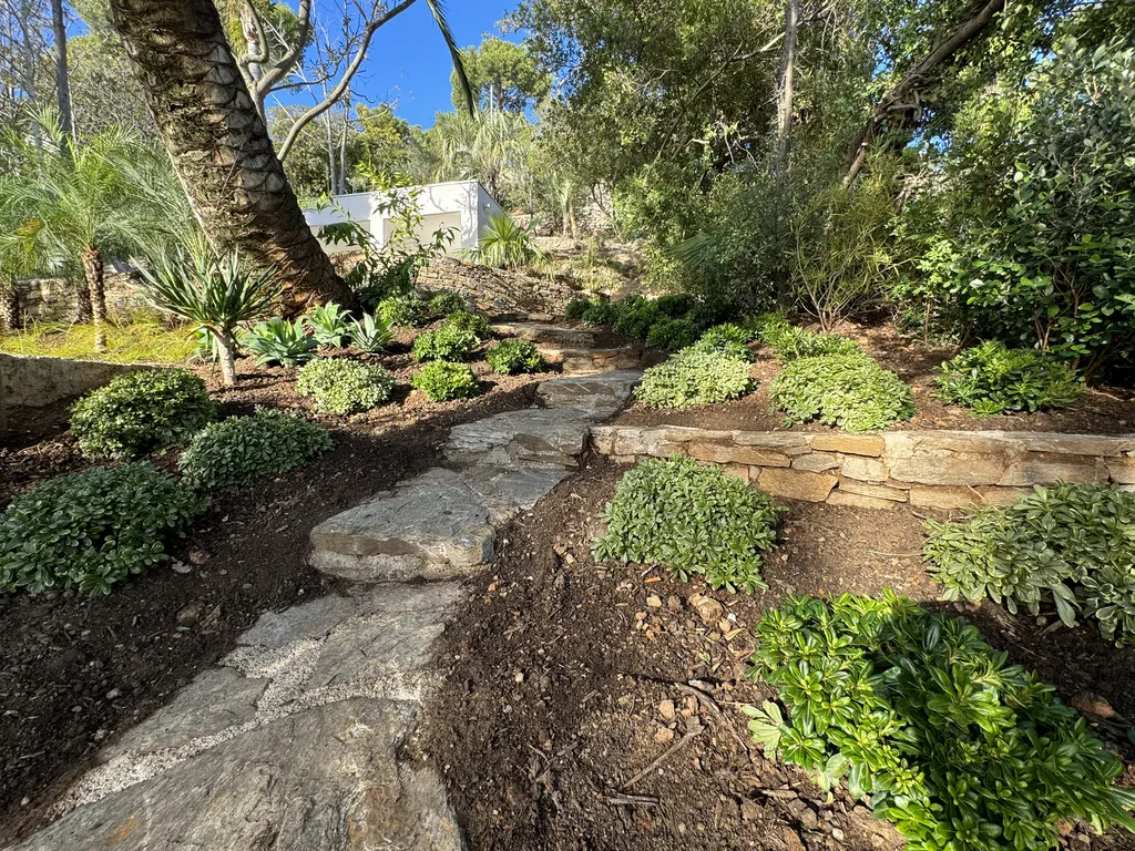 Création d’un jardin méditerranéen avec arrosage automatique à Carqueiranne