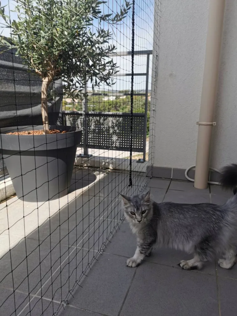 filet balcon chute chat salon de provence 13