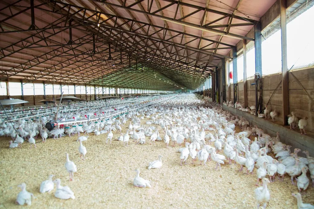 LE CONTROLE DES STRUCTURES DES EXPLOITATIONS AGRICOLES