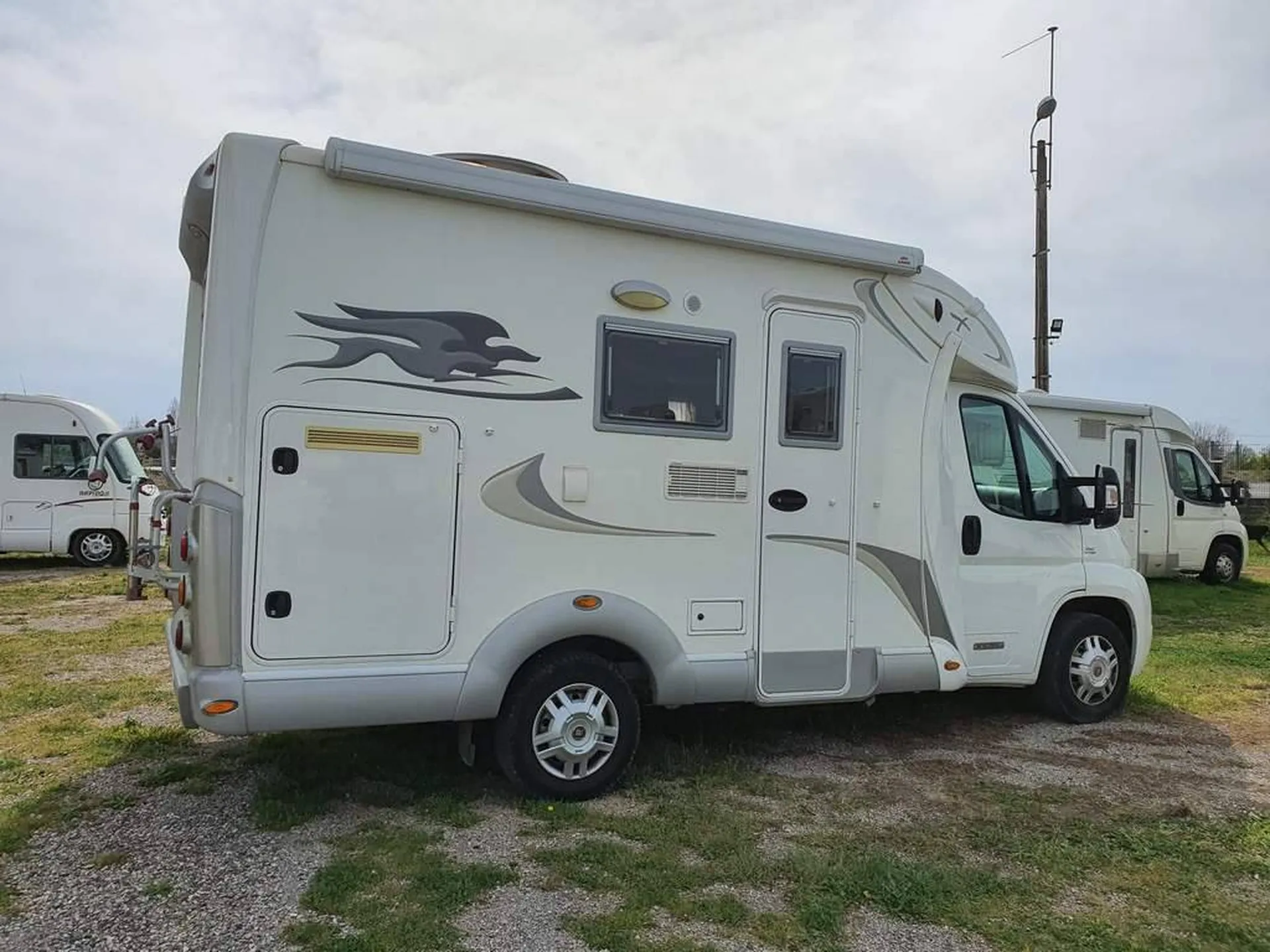 LAIKA MOINS DE 6M A LANCON DE PROVENCE 13680