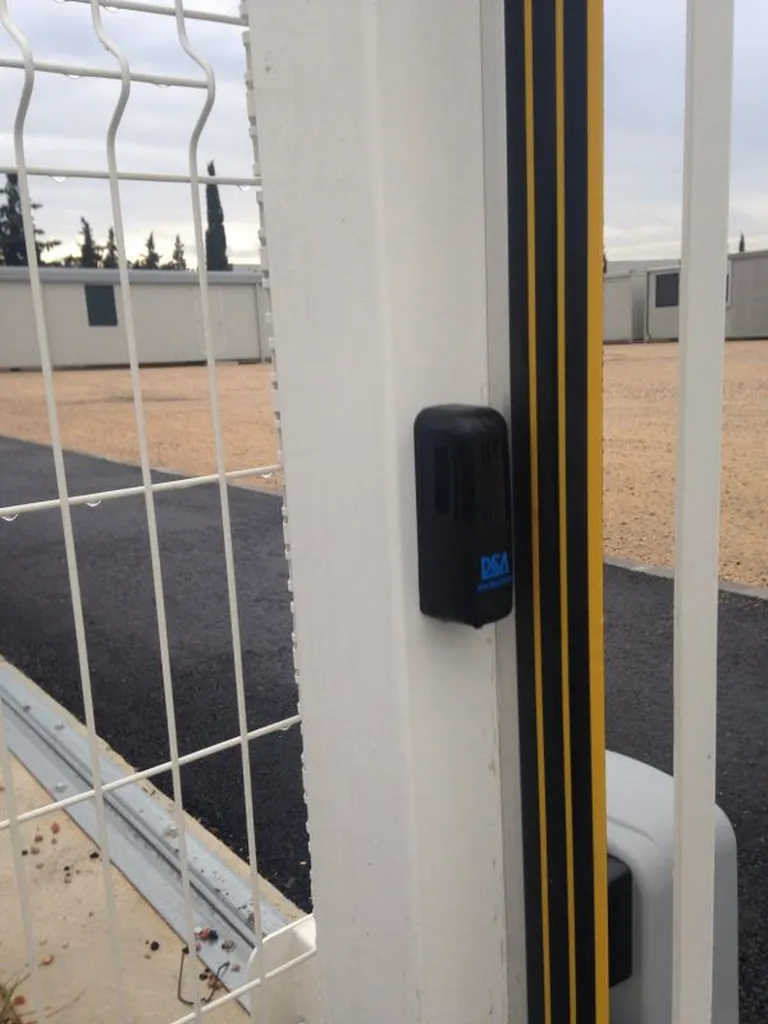 cellules et lame palpeuse