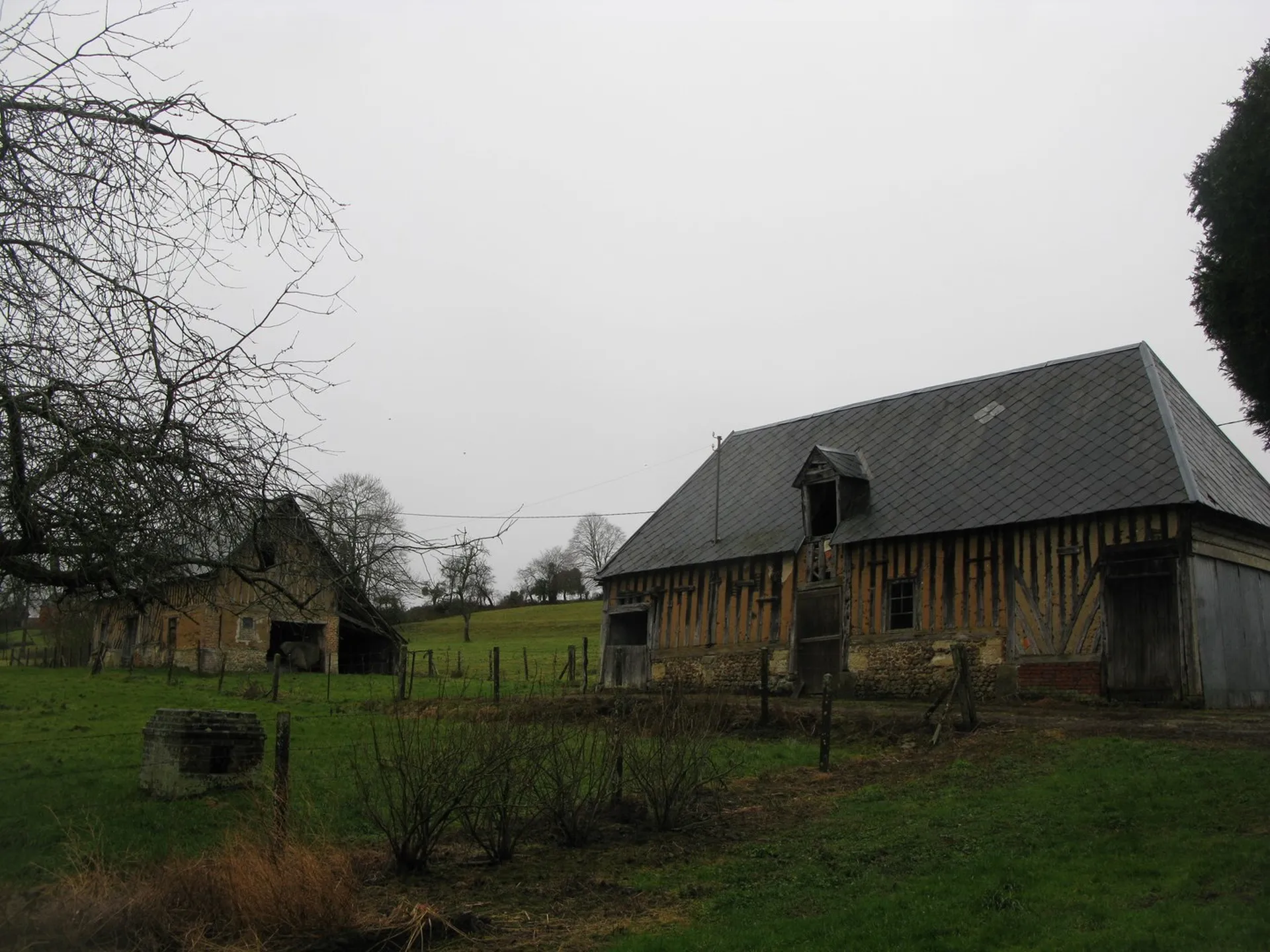 FERME AVEC TERRES A VENDRE PROCHE LIVAROT, CALVADOS 14, NORMANDIE