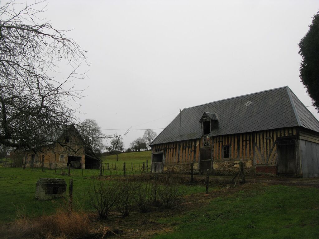 FERME AVEC TERRES A VENDRE PROCHE LIVAROT, CALVADOS 14, NORMANDIE