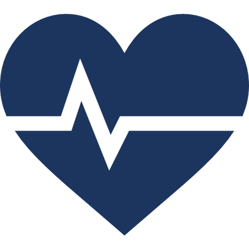 Hospitalisation vétérinaire à Marseille Joliette avec surveillance continue et soins attentifs pour vos animaux de compagnie