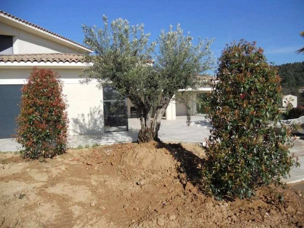 Plantation d'une Haie mixte par le paysagiste de Fuveau.