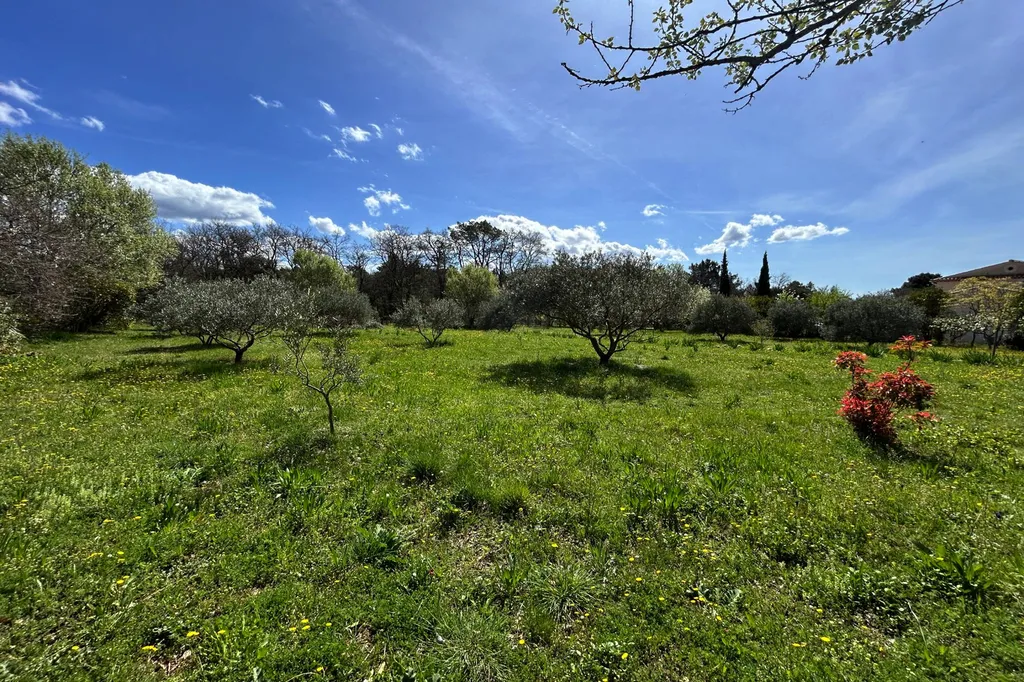 Bedoin - Parcelle arborée de 1800 m² constructible.