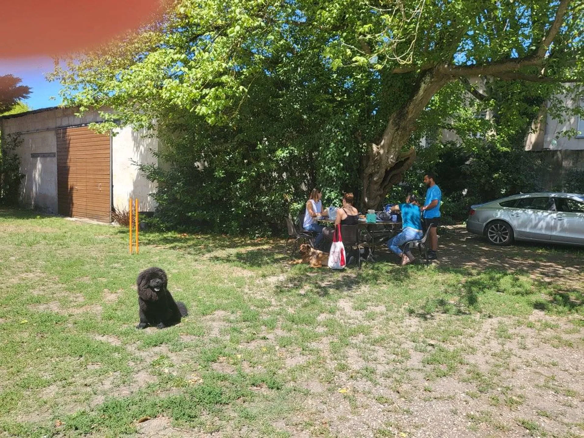 éducateurs canins spécialisés en comportement sur le bassin en Gironde.