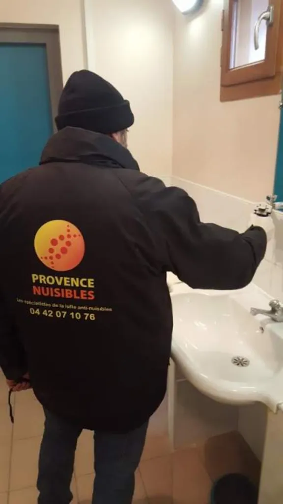 désinfection anti blattes eguilles 13510