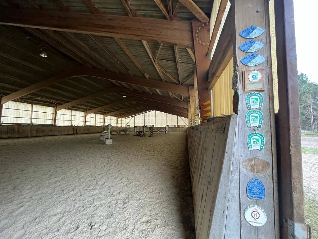 proche forêt pour balade à cheval