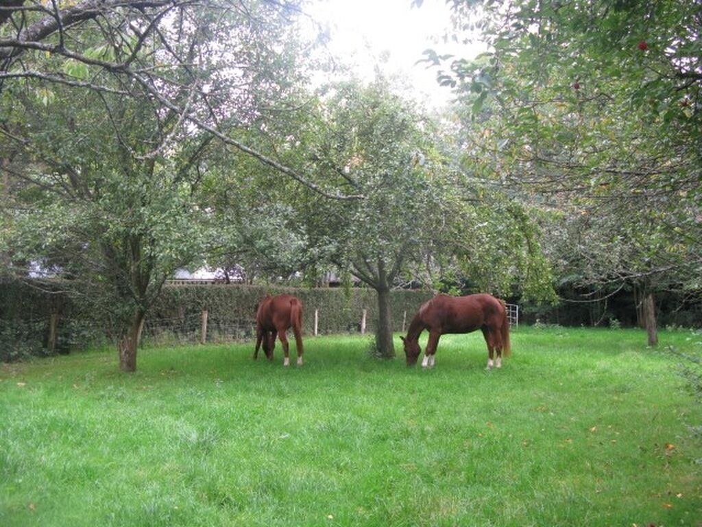 MAISON NORMANDE Entre PONT L'EVEQUE ET LISIEUX