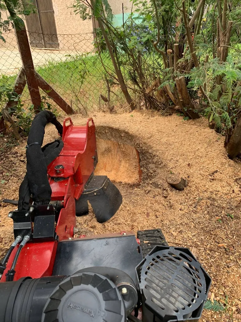 Trouver un jardinier pour rogner les souches d’arbres aux alentours de Parentis-en-Born