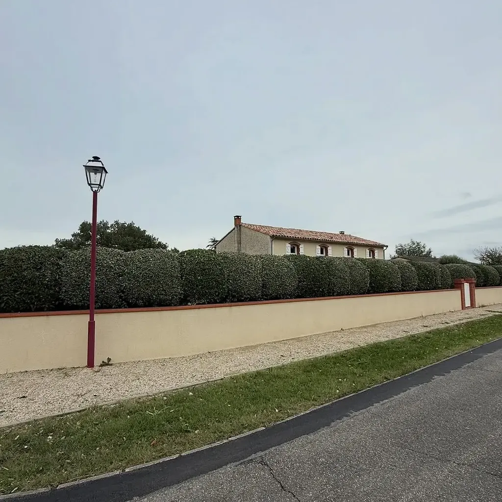 Taille complète de haies et massifs en périphérie toulousaine proche de Blagnac : entretien paysager haut de gamme par LT Paysage