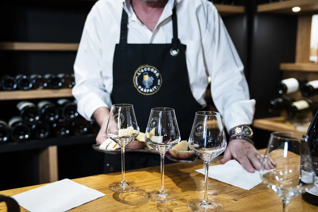 Atelier œnologique pour les passionnés de vin près de Pessac : passez au niveau supérieur avec l'analyse détaillée des robes et tanins