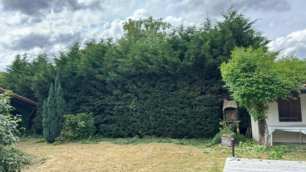 taille de haie par un professionnel à Bordeaux