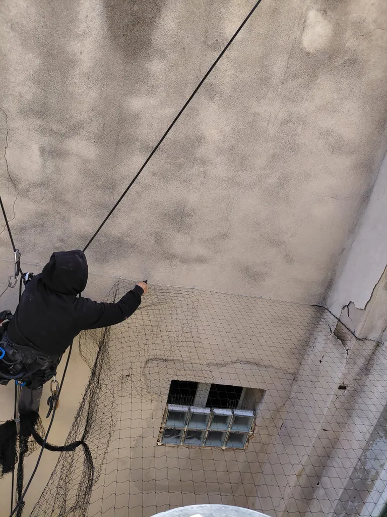 filet anti pigeon dans une cour à Aubagne