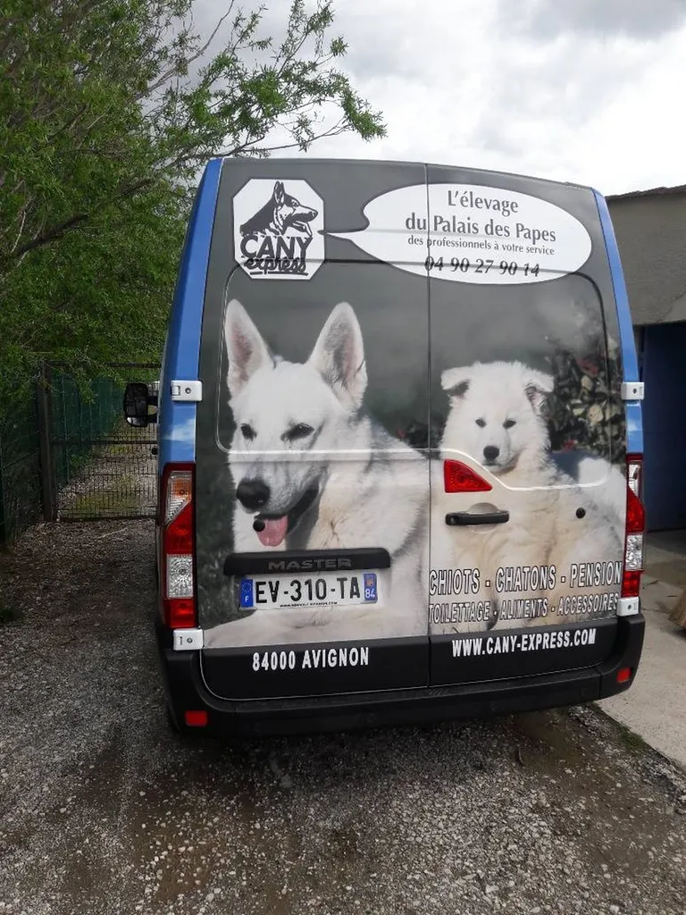 Camion, le véhicule pour le transport canin à Avignon