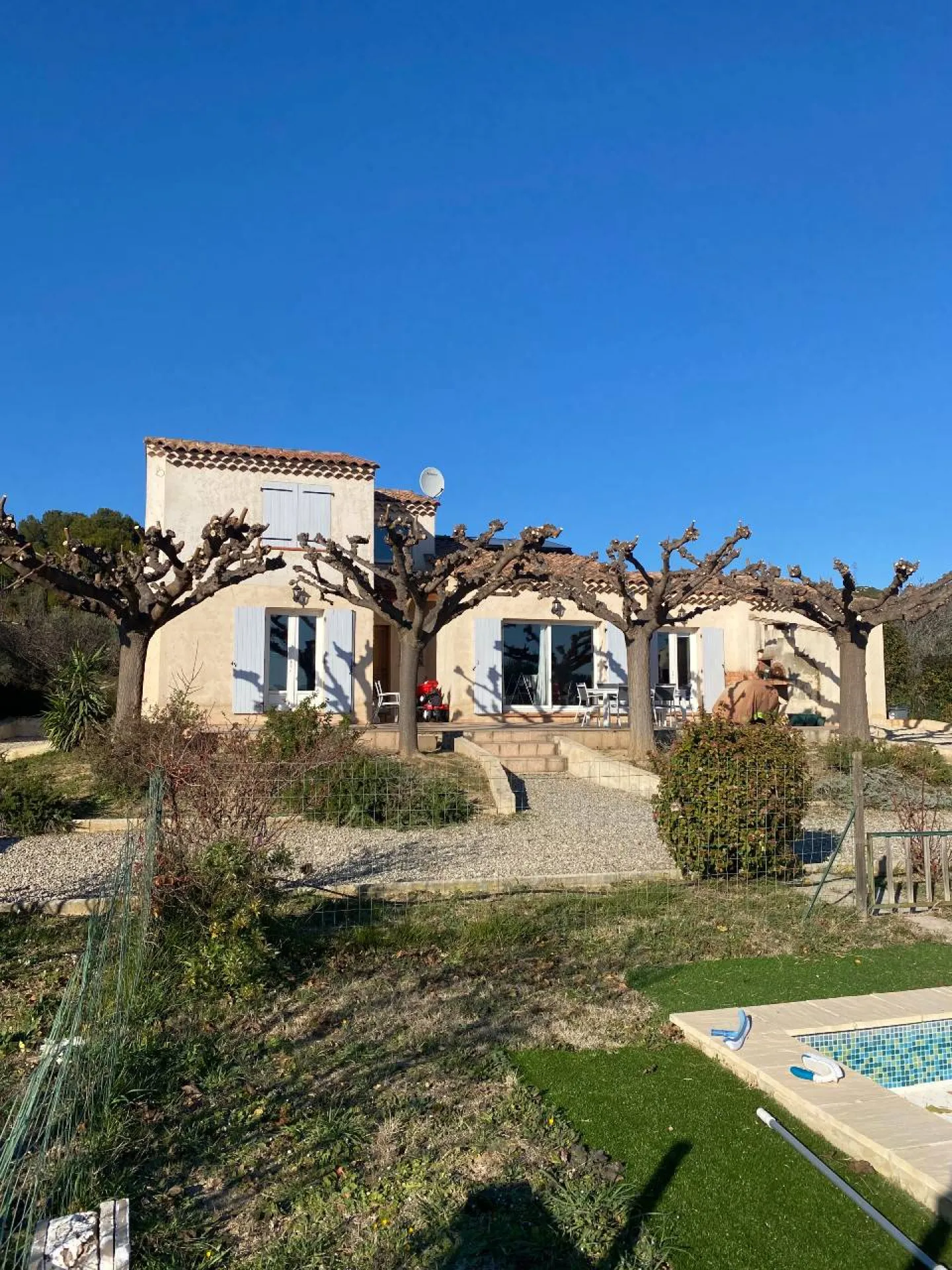 Taille de gros mûriers platanes proche d’une terrasse dans le Bouches du Rhone