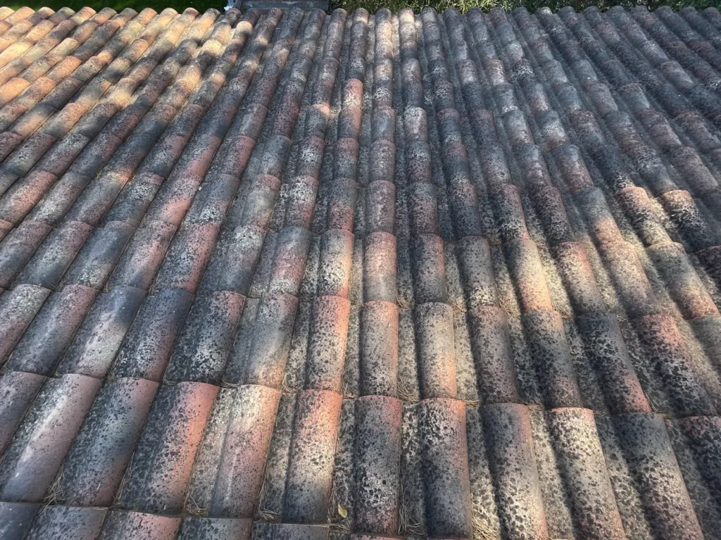 Nettoyage de toiture à Bouc-Bel-Air 13320