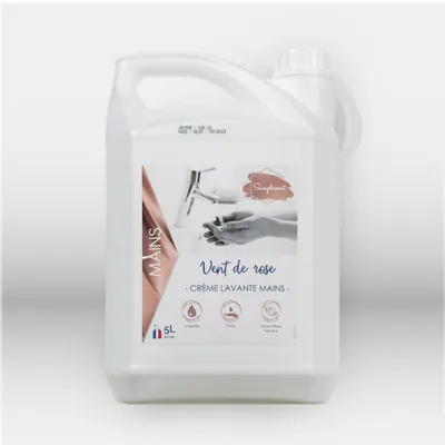 Savon liquide mains 5L bidon professionnel pour hygiène des mains en collectivités, restauration et bureaux, offrant une solution douce, économique et efficace pour le lavage fréquent des mains dans les environnements professionnels – disponible à Mont-de