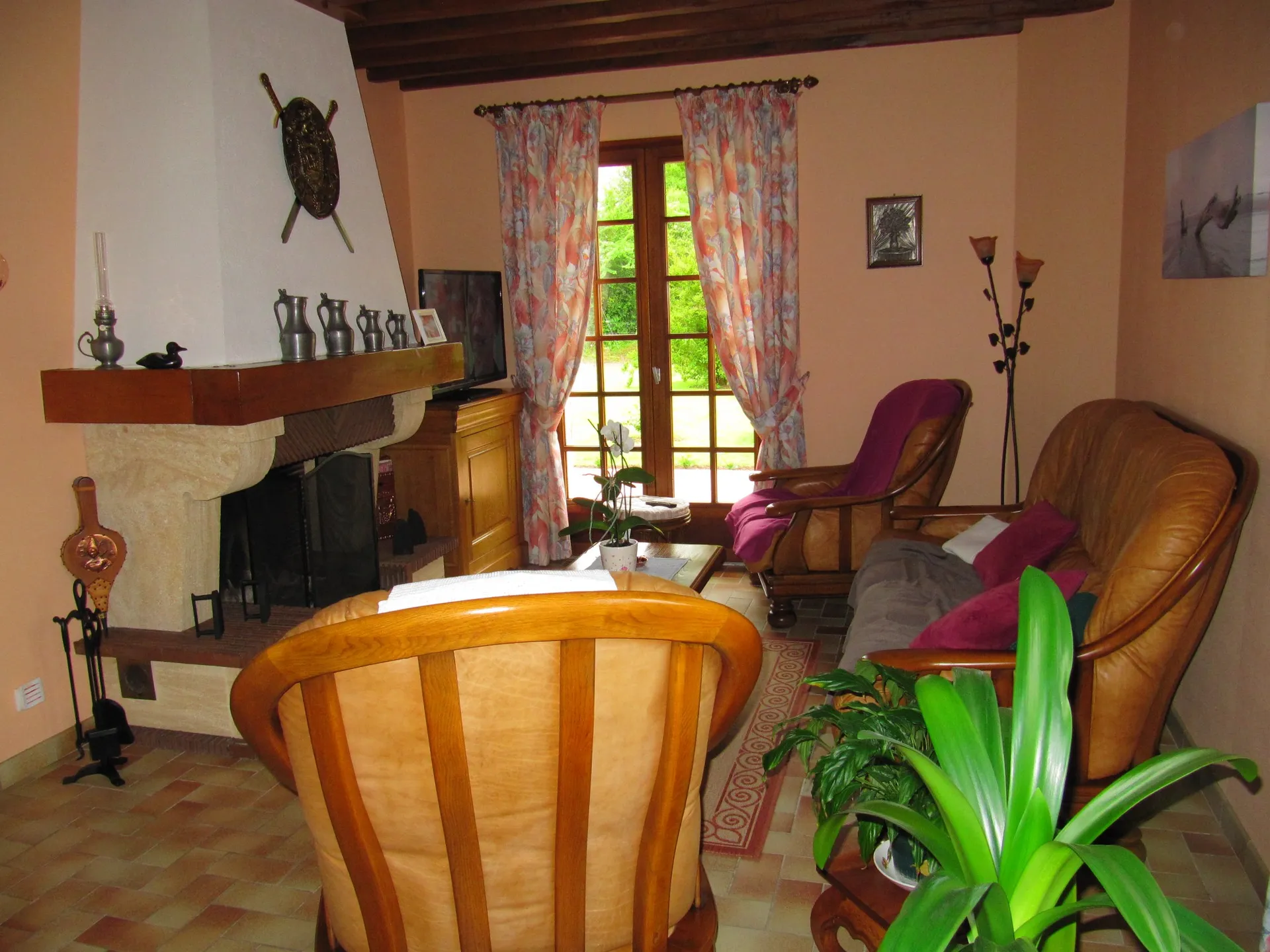 Séjour avec cheminée lumineux 27