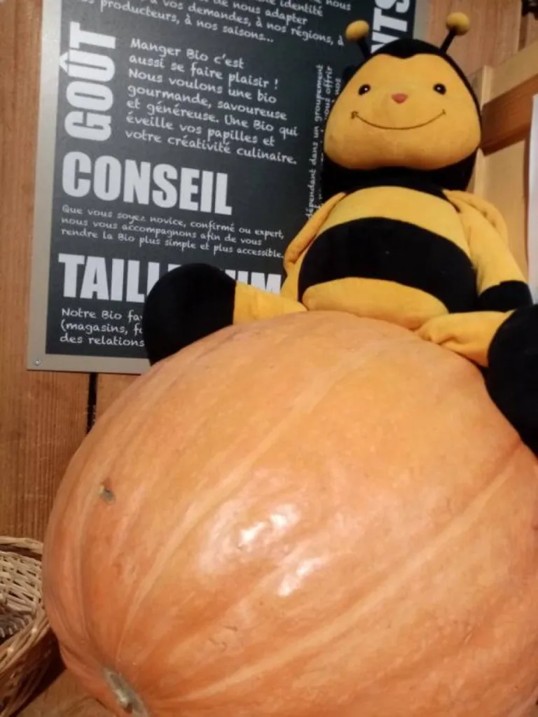 Courge d'Halloween chez Saveur Nature