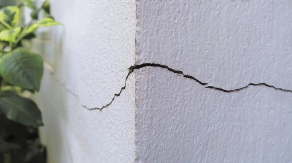 Les pathologies des façades