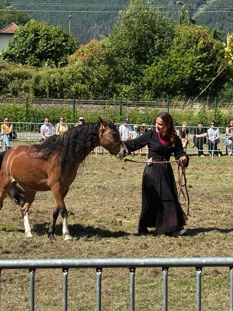 Spectacle de chevaux à Marignier samedi 13 juin 2026 organisée par les soeurs Esther