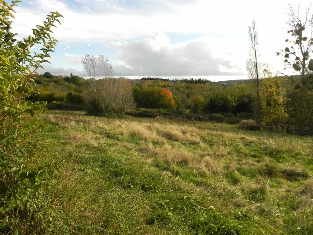 RARE À LA VENTE, TERRES AGRICOLES SUR PRESQUE 3 HECTARES DANS LE SUD DU PAYS D'AUGE 14