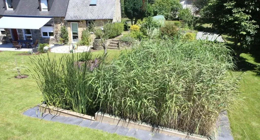 Remplacement de cuve par un jardin d’assainissement naturel à Fontainebleau