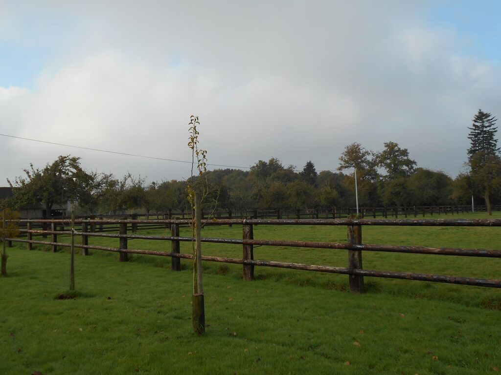 MAISON EN PIERRE A VENDRE PROCHE ORBEC, CALVADOS 14