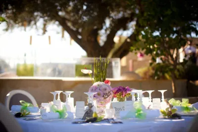 Wedding in Provence