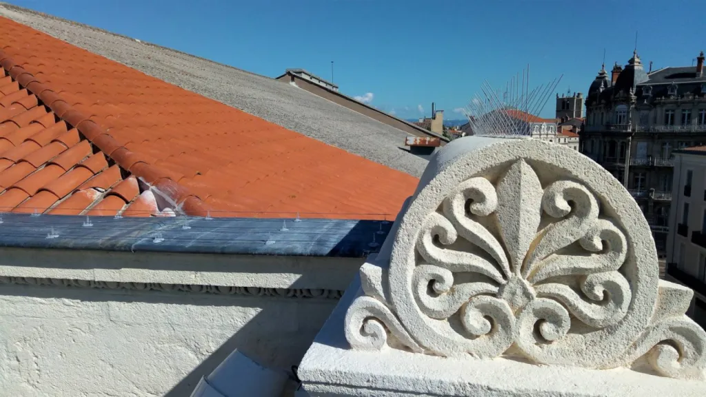 pas de pigeons sur mon balcon