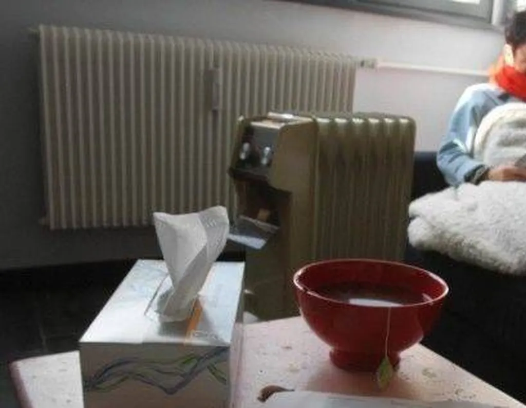 Précarité énergétique dans le Beaujolais et à Lyon : comment réduire ses factures d’énergie ?