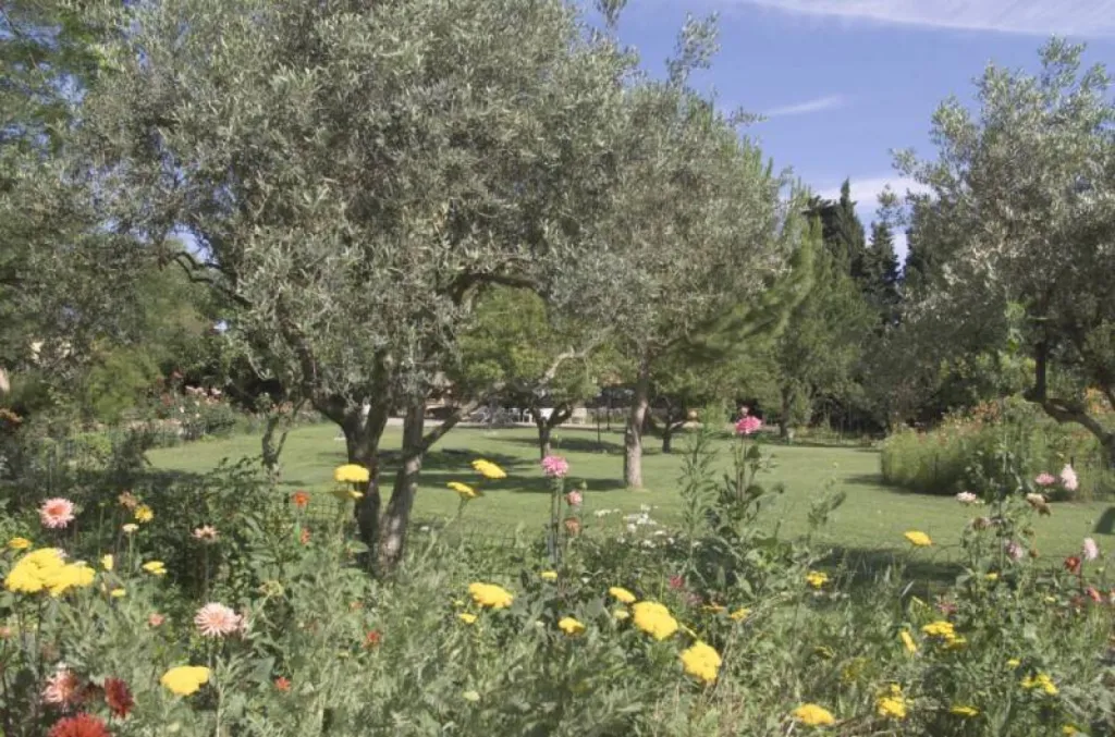 Le restaurant glacier de l'Auberge des Eyssauts près de Salon de Provence