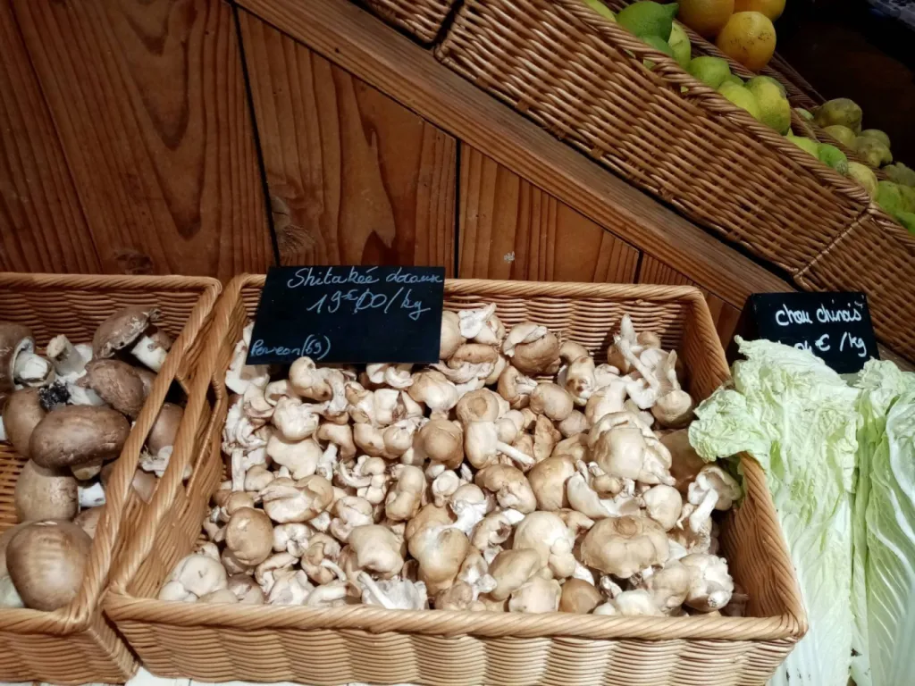 Où trouver des champignons Shiitake frais bio et locaux pour des recettes bonnes pour la santé ? Chez Saveur Nature en Beaujolais
