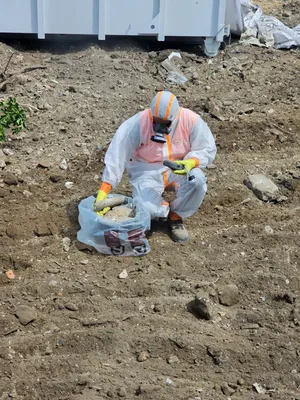 Gestion amiante à Marseille